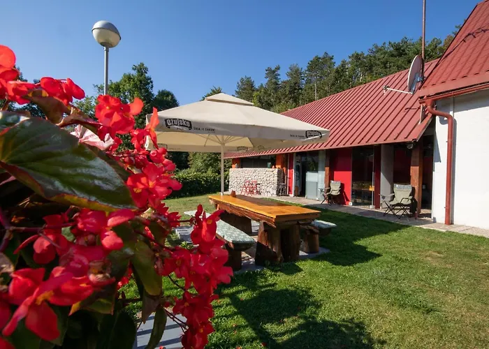 Family-friendly With Swimming Pool Lic, Gorski Kotar - 23685 Lejlighed